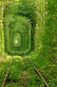 green-tunnel